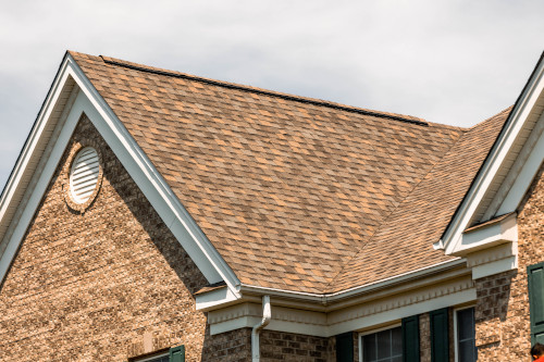 Roof Rot