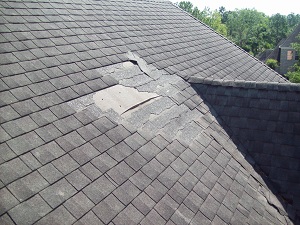 Roof Repairs in Greater Albany, GA