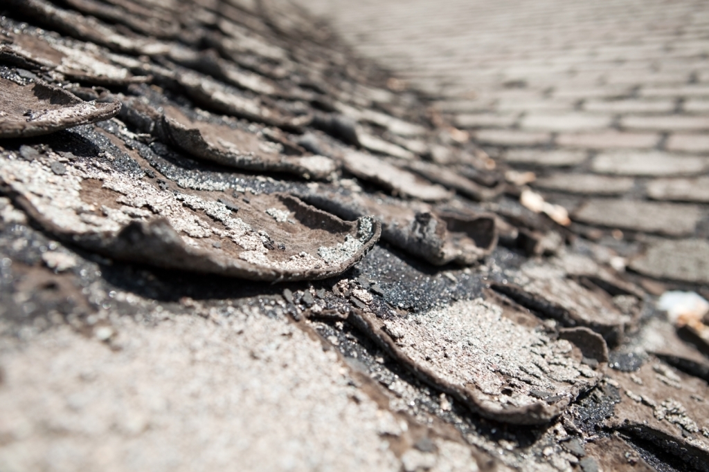 Worn shingles with curling edges.