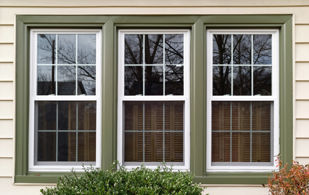 Triple window with green trim reflecting bare tree branches