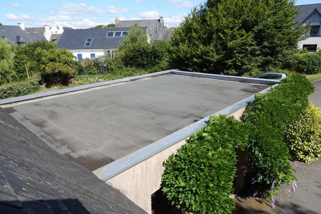 Flat roof surrounded by greenery.