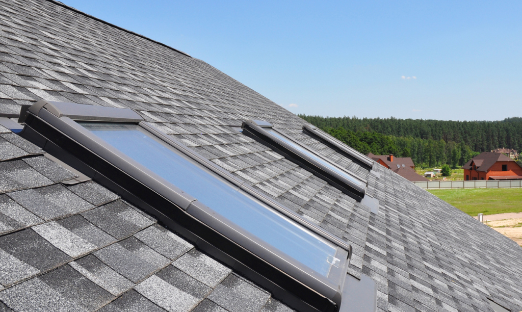 Roof with skylights and greenery backdrop