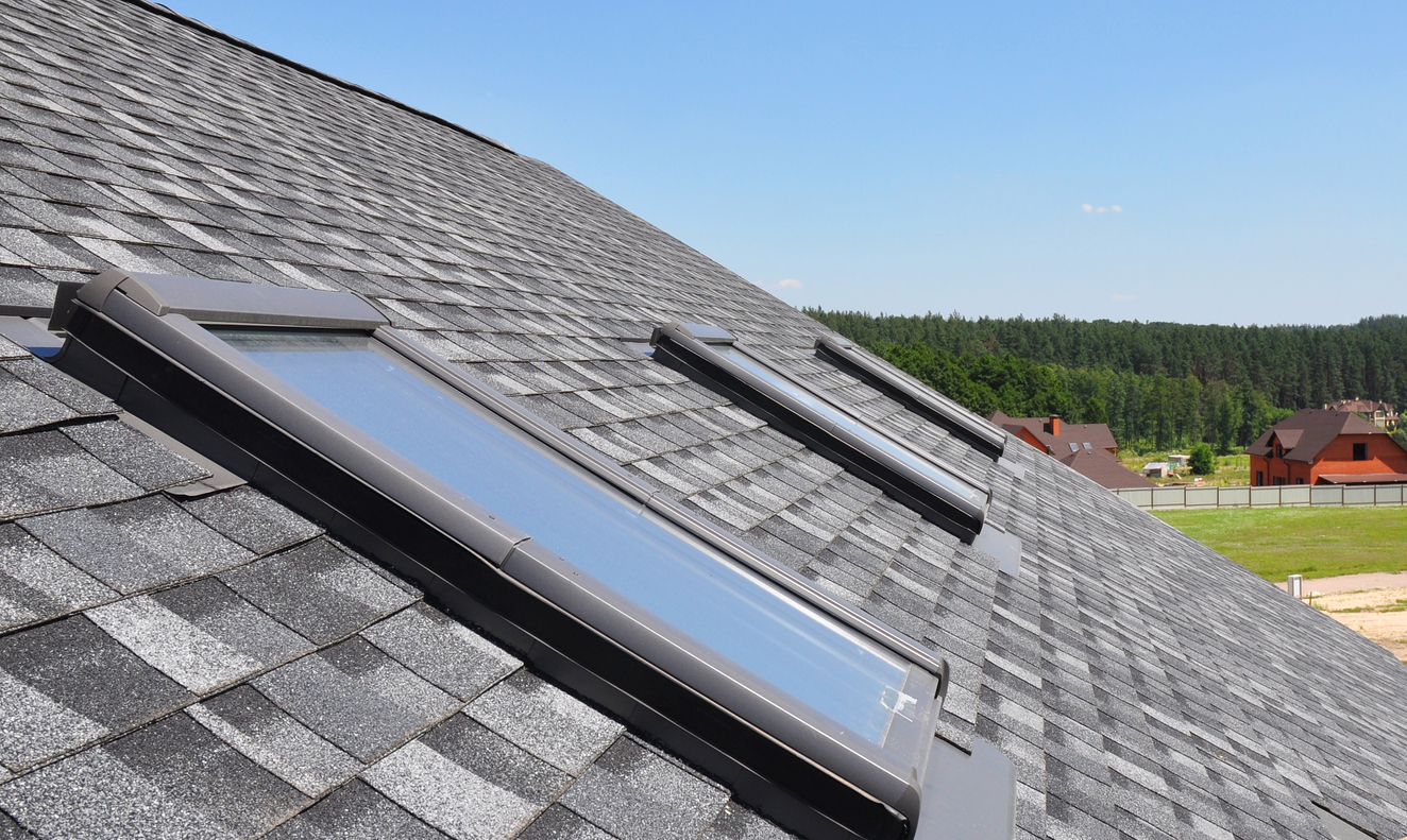 Roof with skylights and greenery backdrop