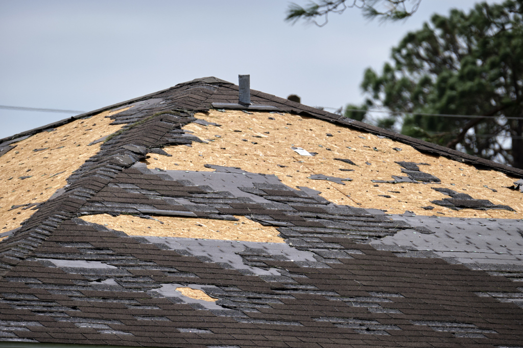 Roof shingles missing and damaged.
